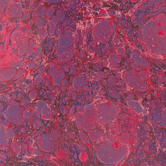 Hand Marbled Paper Speckled Stone Marble Pattern in Red and Magenta ~ Berretti Marbled Arts